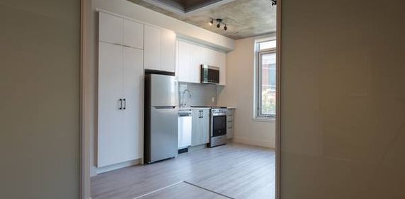 1 Bedroom, Steps to uOttawa, Available October 1st - Photo 2