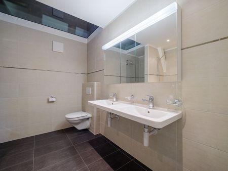 Charming 2.5 Zimmer-Loft im Schloss Sensebrück zu vermieten - Photo 5