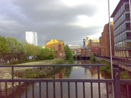 2 Bed Flat, Coode, S3 - Photo 5