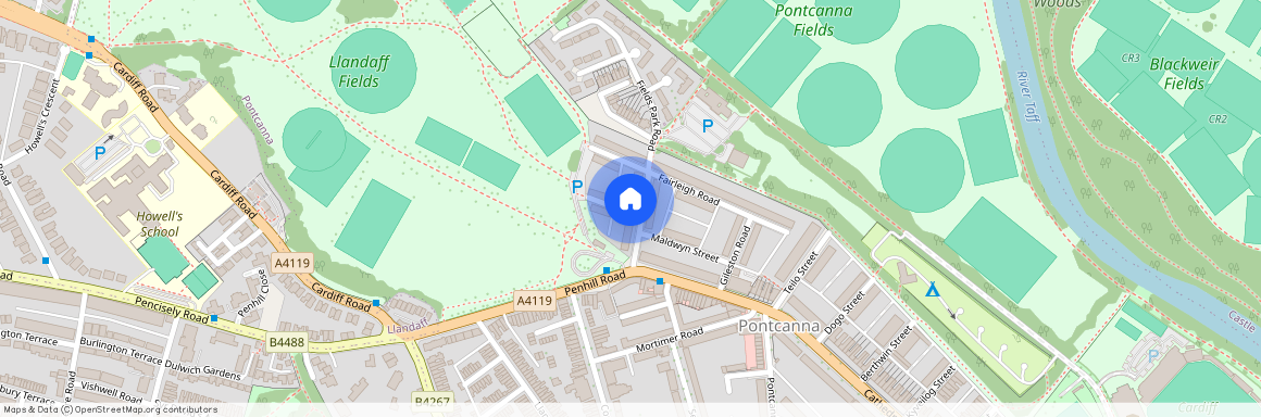 Fields Park Road, CF11 9JP, Cardiff