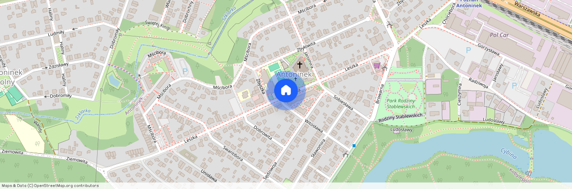 ul. Leszka, Antoninek, Nowe Miasto, Poznań, wielkopolskie