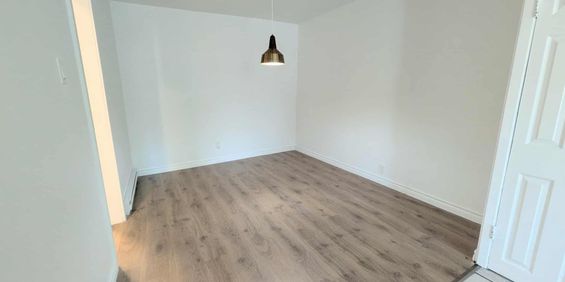 5 ½ Moderne à Louer - Montréal - Photo 3