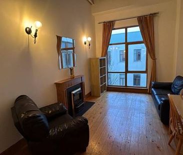 The Sycamore, Winter Garden, Pearse St, Grand Canal Dock, Dublin 2 - Photo 3