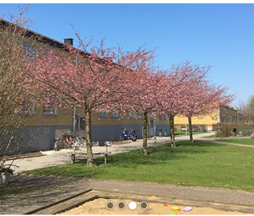 Norrevångsgatan 41 B, Vellinge - Photo 3