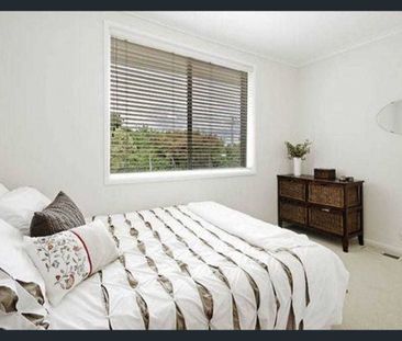 Large Family House Featuring a Beautiful Pool - Photo 1