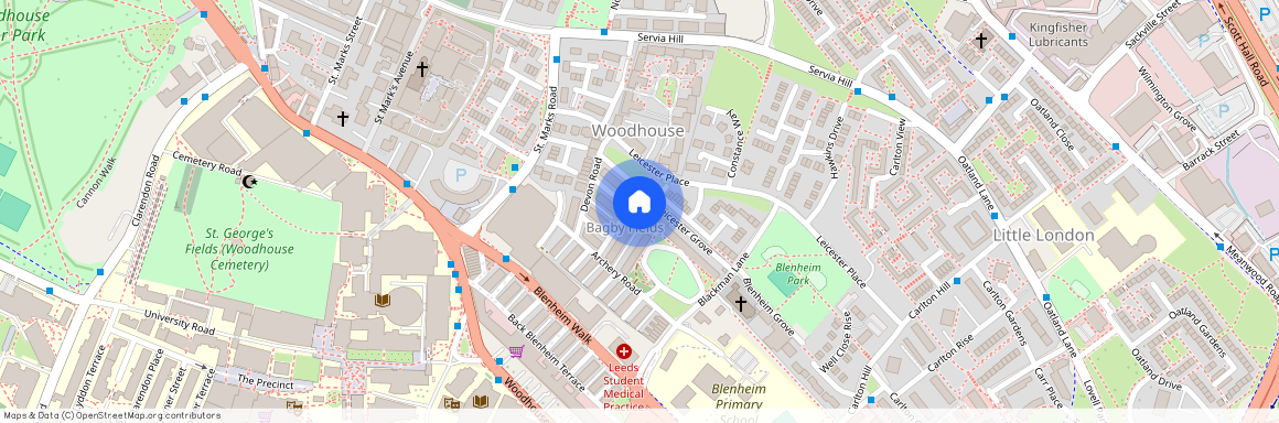 Blenheim Crescent, Hyde Park, LS2 9AY, Leeds