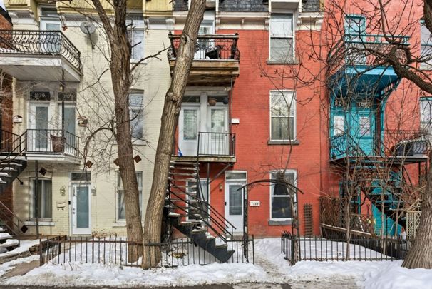 Appartement à louer - Montréal (Mercier/Hochelaga-Maisonneuve) (Hochelaga-Maisonneuve) - Photo 1