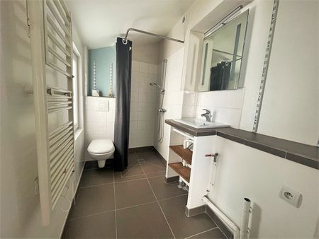 Location Appartement 1 pièce 20m² - Photo 5