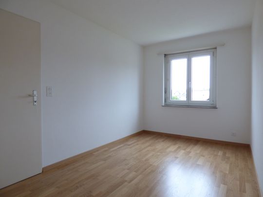 3 Zimmer, 62 m², 2. Stock - Foto 1