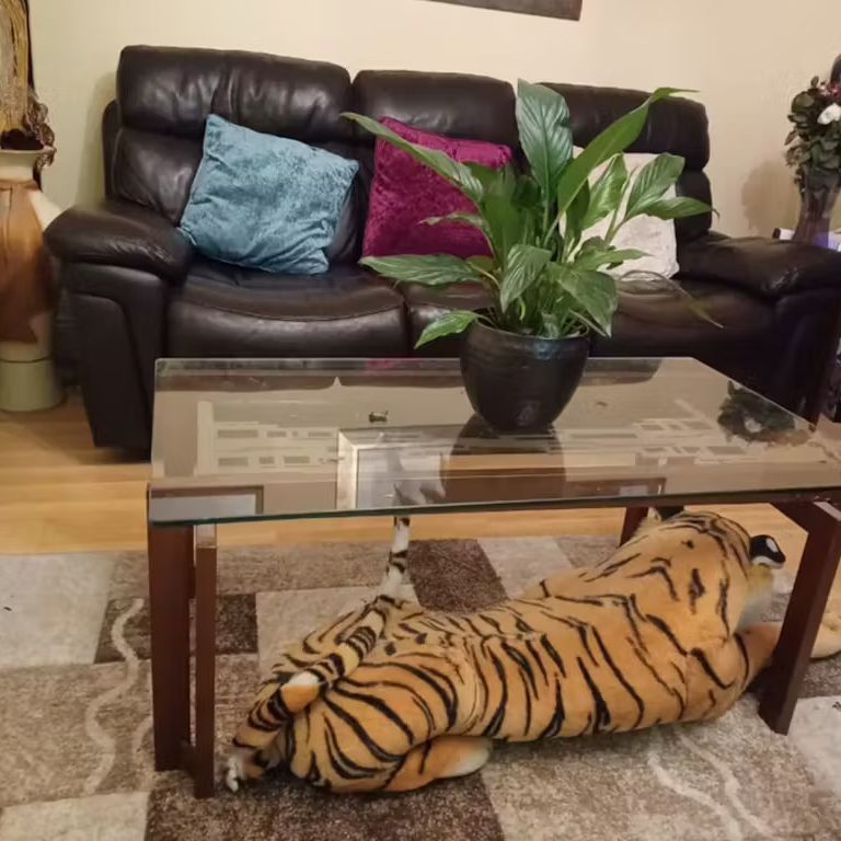 The Boulevard Cruise Park, Dublin - Photo 1