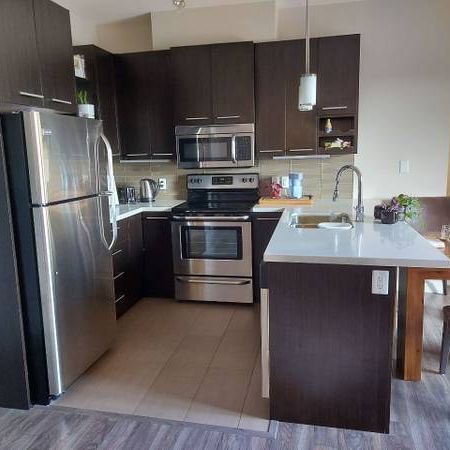 2 bed/ 2 bath apartment new university of Alberta - Photo 1