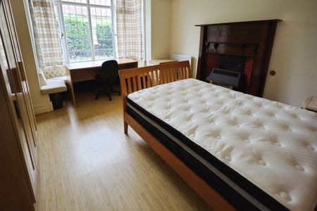 Detached Student House With Two Bathrooms – Fitzharris Avenue, Winton - Photo 5