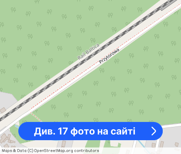 Do wynajęcia dom 350 m² na działce 1600 m² - Фото 1