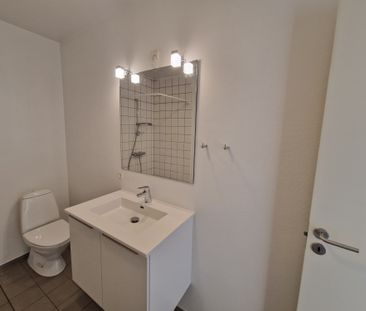 Kæledyr tilladt i nyrenoveret lejlighed - Photo 4