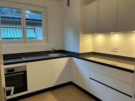 Luminous apartment with lake view in Melide - Photo 3