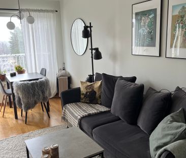 Mariehemsvägen, Umeå - Photo 3
