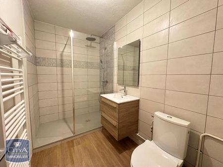 Location Appartement 1 pièce 26m² PERONNAS 01960 - Photo 4