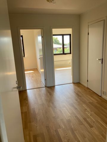 Ekgatan, Lysekil - Foto 2