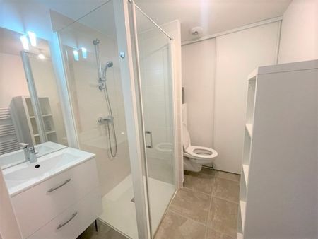 Location Appartement 1 pièce 20m² - Photo 5