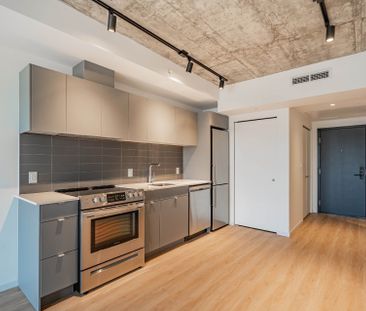 Rue St-Hubert, H2Y 0B9, Montréal - Photo 4