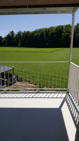 4.5 Zimmer, 90 m², 1. Stock - Photo 5