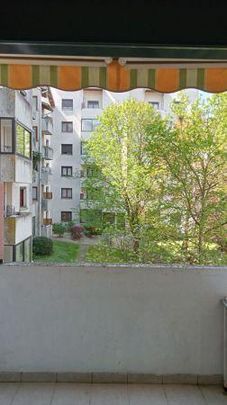 Location - Appartement - 3 pièces - 73.32 m² - montauban - Photo 1