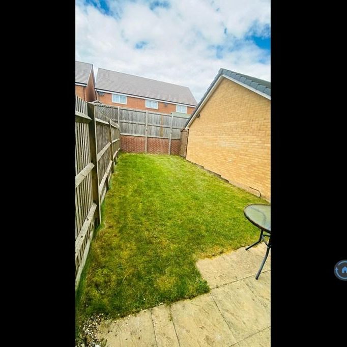 3 bedroom semi-detached house to rent - Photo 1