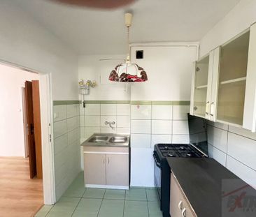 MIESZKANIE na WYNAJEM POLICE (437922) - Zdjęcie 5