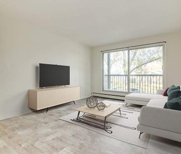 Renovated Suite - 2 Bedroom - Photo 5