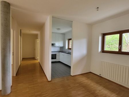 Kinderfreundliche und grüne Wohnoase am Dorfrand von Riehen - Photo 3