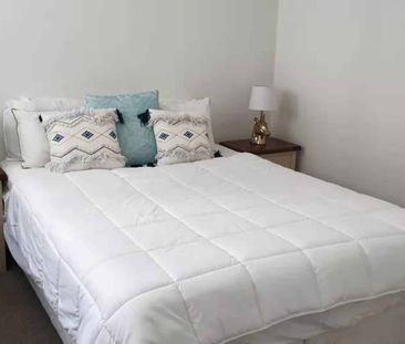 Best in CBD - Photo 3