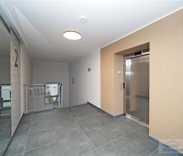 Nowe, pachnące 2 pokoje z 2025r- Kuncer Morelowa - Zdjęcie 2