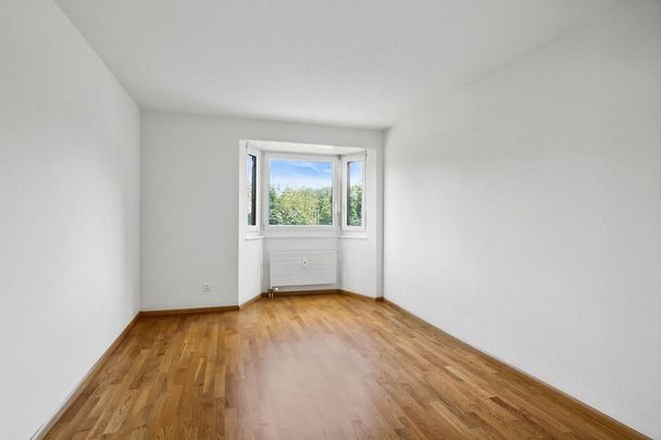 Näher am Naherholungsgebiet - Foto 1