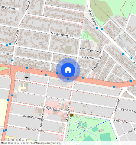 408 Newcastle Road, North Lambton, NSW 2299