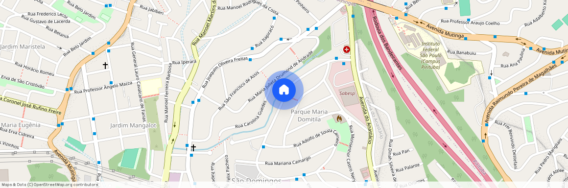Rua Willis Roberto Banks, Parque Maria Domitila, City América, São Paulo