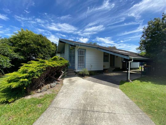 Charming 3-Bedroom Home with Great Outdoor Entertaining Space in Papakura - Photo 1