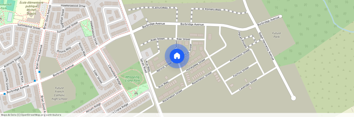 383 Mango Street, Blossom Park - Airport And Area