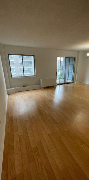 3 Et Demi Spacieux Disponible - Photo 1