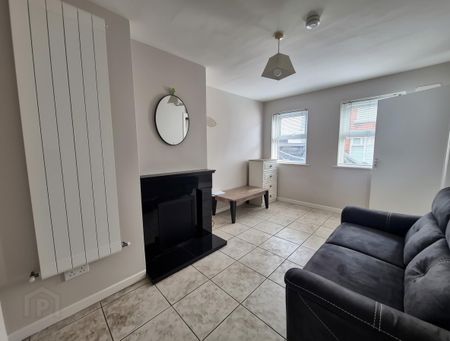 2 Chapel Street, County Westmeath, N37 F6F5, Athlone - Photo 4