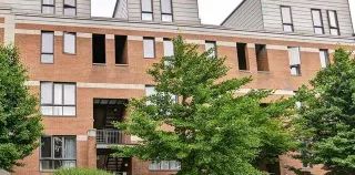 Appartement · 127 m² · Plateau-Mont-Royal - Photo 2