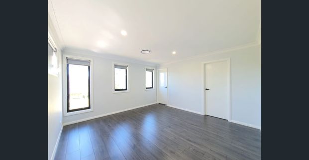 The One That You Want! - Photo 1