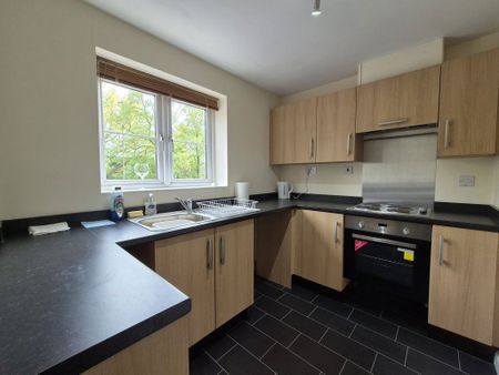 Golden Orchard, Halesowen, B62 - Photo 3