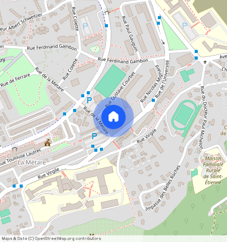 ** RUE GUSTAVE COURBET, 42100, St Etienne