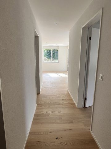 «Baumpark» Wohnen in parkartiger Landschaft in Pfäffikon ZH - Foto 5