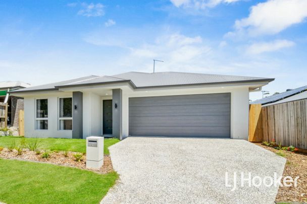 MALLEE POCKET LOCATION - TWO LIVING ZONES - GREAT SIZE YARD - Photo 1