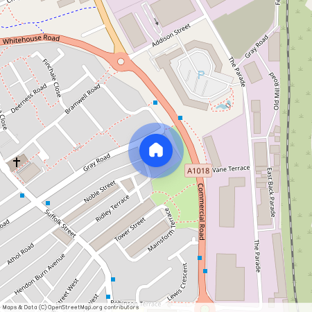 Primary Gardens, Sunderland, Tyne And Wear, SR2