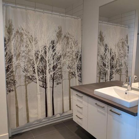 Condo 3 1/2 dans le secteur St-Sacrement à Québec - Photo 4