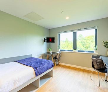 Studio to rent - Photo 6