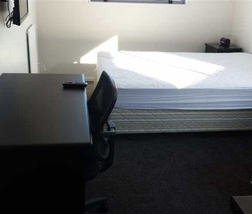 Dont hunt around!! - Photo 2