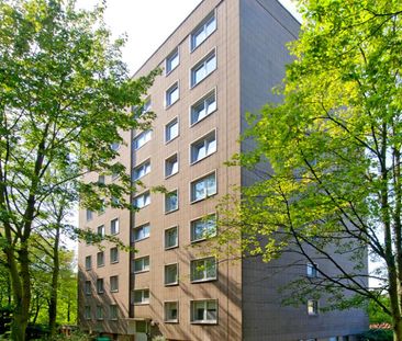 Renovierte 3-Zimmer-Wohnung in Osnabrück - Photo 3